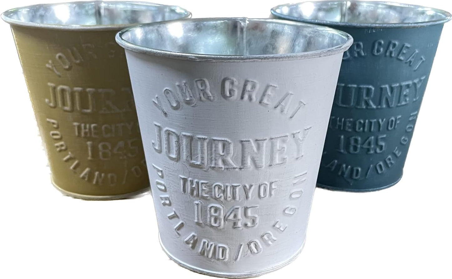 多肉植物 カット苗12種おまかせセット|培養土1L+赤玉土付き・ブリキ缶おまけ付き