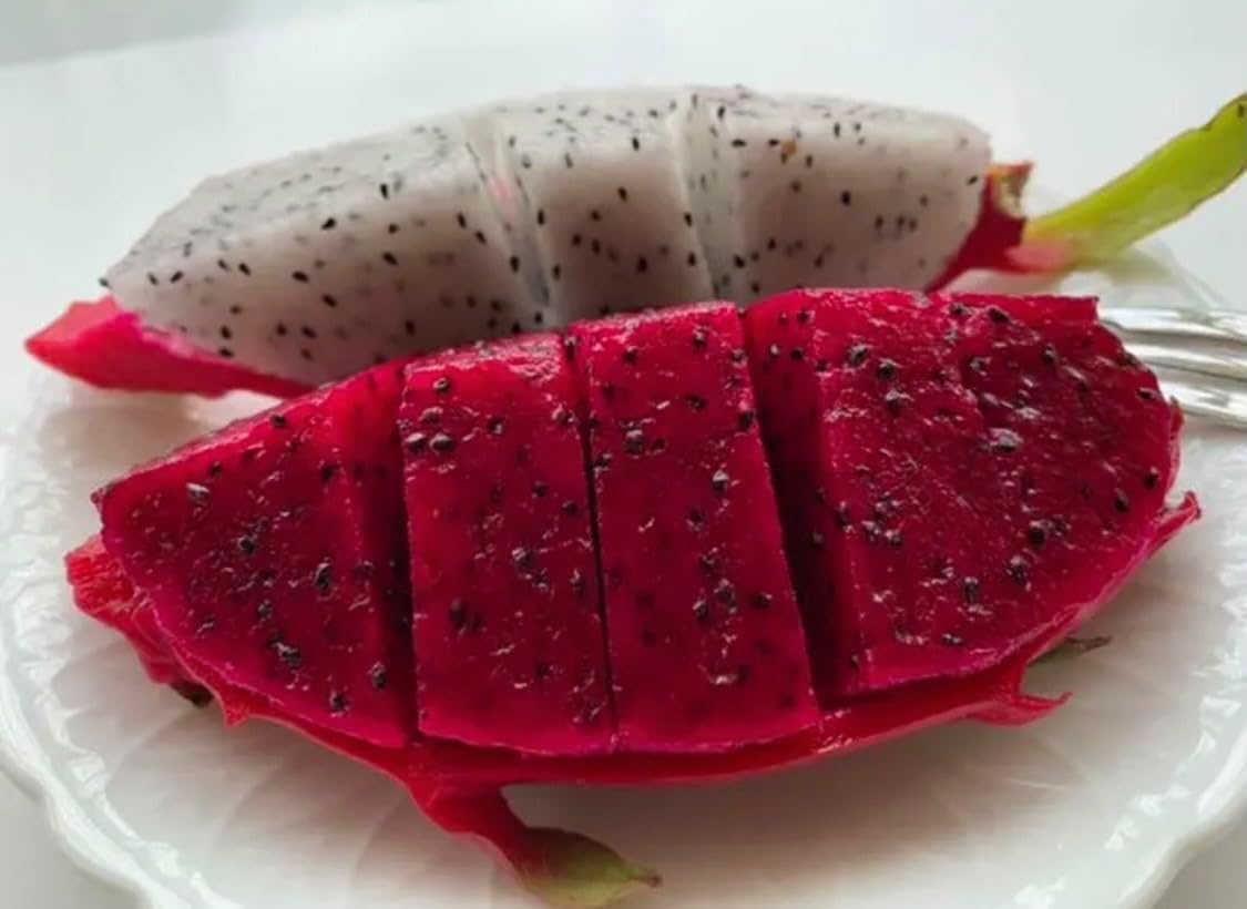 群馬県産・赤果肉ドラゴンフルーツ（樹上完熟）1kg［2〜3玉］